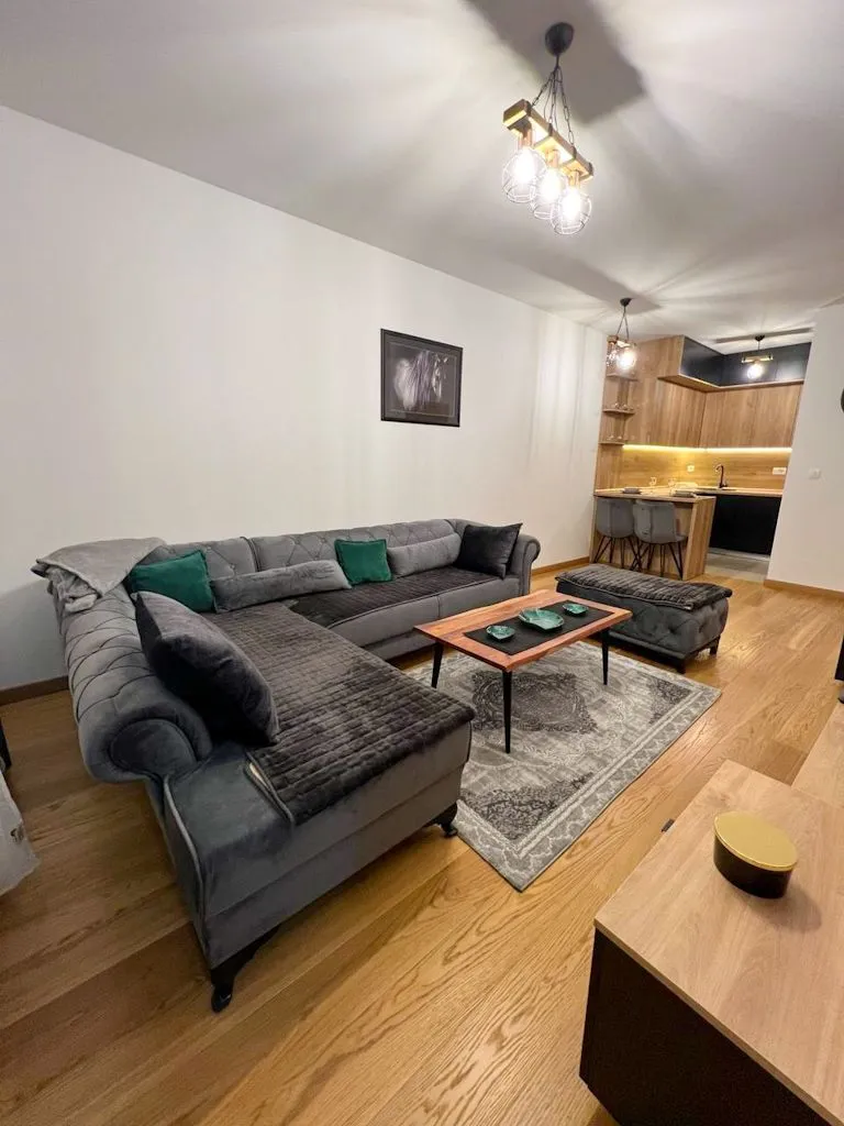Rent, one bedroom apartment, 47m², New City, Podgorica