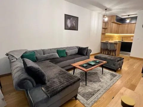 Izdavanje, jednosoban stan, 47m², New City, Podgorica - image 3