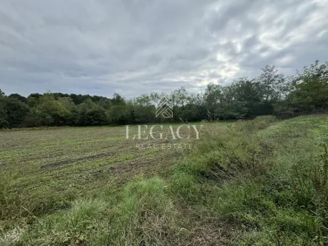 Sale, land lot, 6943m², Mladenovac, Beograd - image 3