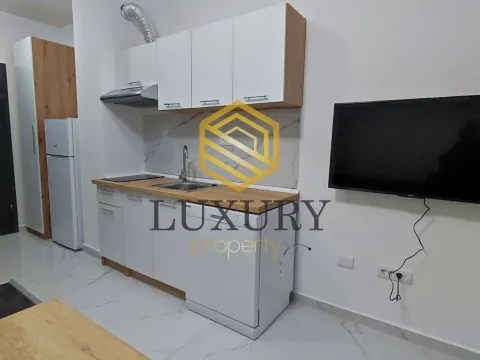 Izdavanje, garsonjera, 32m², Zabjelo, Podgorica - image 6