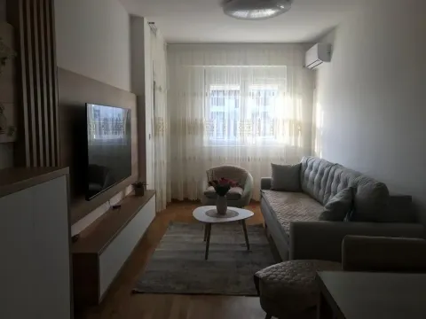 Bright living room with a grey sofa and mounted TV. - image 2