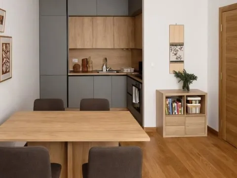 Prodaja, jednosoban stan, 48m², Podgorica, Crna Gora - image 3