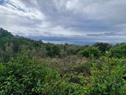 Prodaja, plac, 5000m², Zagora, Kotor - image 6