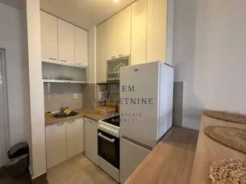 Rent, one bedroom apartment, 40m², Tuški Put, Podgorica - image 14