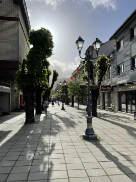 Pogled na popločanu gradsku ulicu sa drvoredom i starinskim uličnim svjetiljkama. - image 11