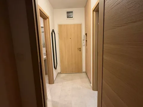 Rent, one bedroom apartment, 46m², Stari Aerodrom, Podgorica - image 5