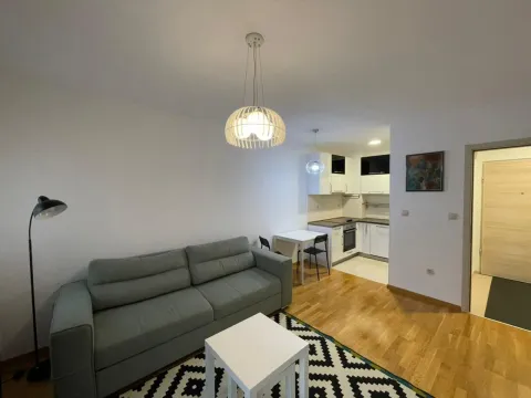 Sale, one bedroom apartment, 43m², Stari Aerodrom, Podgorica - image 11