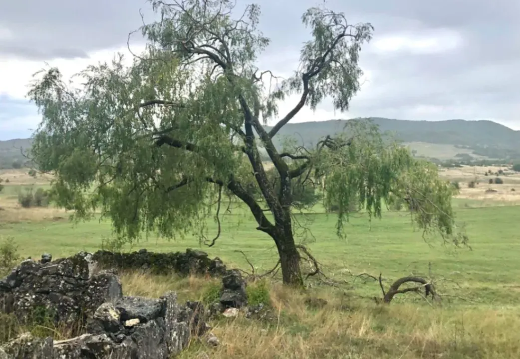 Prodaja, plac, 162000m², Lukovo, Nikšić