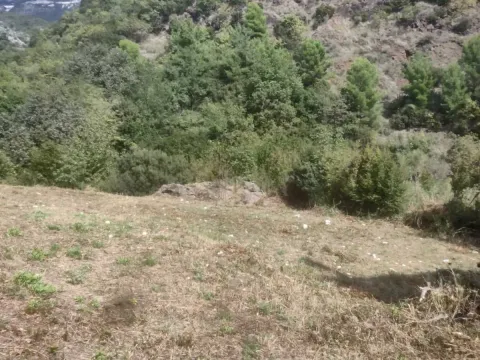 Prodaja, plac, 500m², Budva, Crna Gora