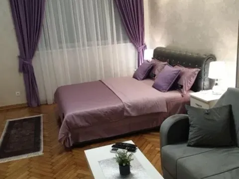 Izdavanje, dvosoban stan, 50m², Stari Grad, Beograd - image 1