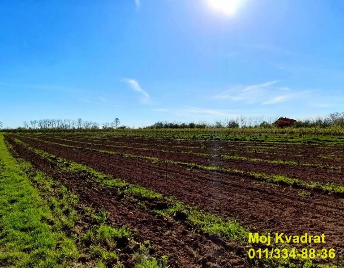 Prodaja, plac, 237m², Mladenovac, Beograd