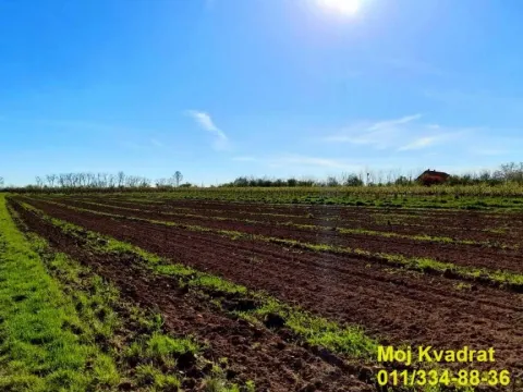 Prodaja, plac, 237m², Mladenovac, Beograd - image 2