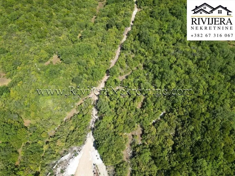 Prodaja, plac, 3247m², Radanovići, Kotor