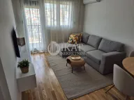 Izdavanje, jednosoban stan, 38m², Višnjica, Palilula Sve Podlokacije - image 1