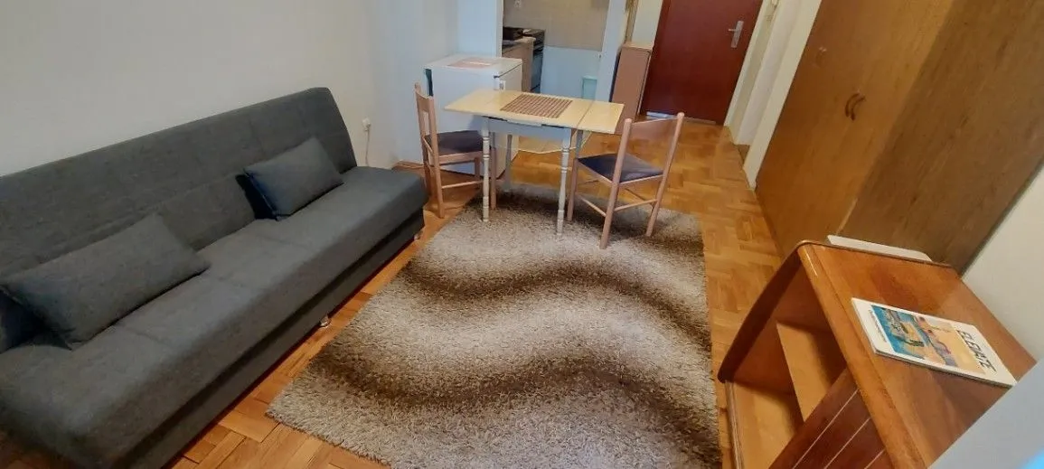 Izdavanje, jednosoban stan, 30m², Bulevar Evrope, Novi Sad Sve Podlokacije