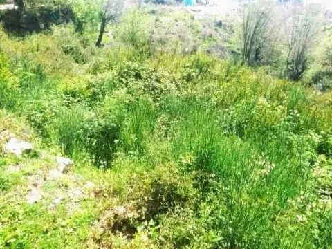 Prodaja, plac, 1072m², Kotor, Crna Gora - image 2