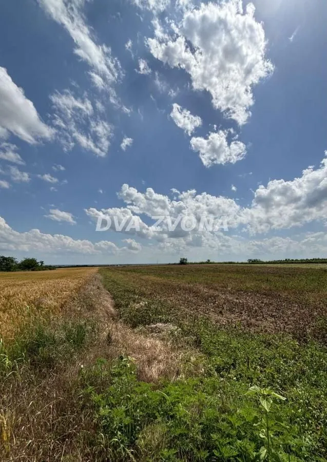 Prodaja, plac, 1000m², Čortanovci, Inđija