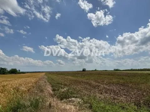 Prodaja, plac, 1000m², Čortanovci, Inđija - image 11