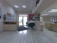 Izdavanje, poslovni prostor, 480m², Senjak, Beograd - image 2