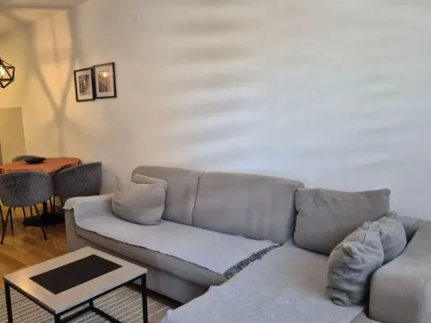 Izdavanje, jednosoban stan, 49m², Central Point, Podgorica - image 1