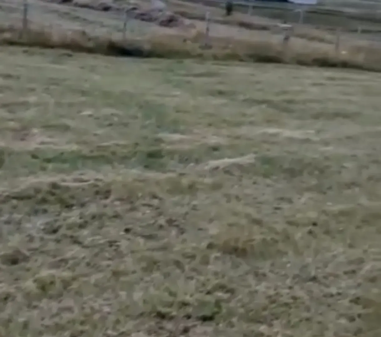 Prodaja, plac, 450m², Centar, Žabljak