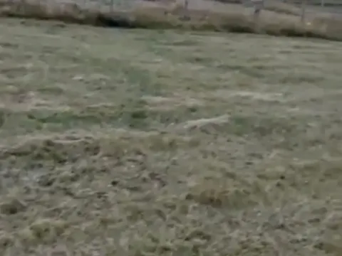 Prodaja, plac, 450m², Centar, Žabljak - image 4