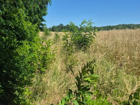 Sale, land lot, 11500m², Valjevo, Srbija - image 7