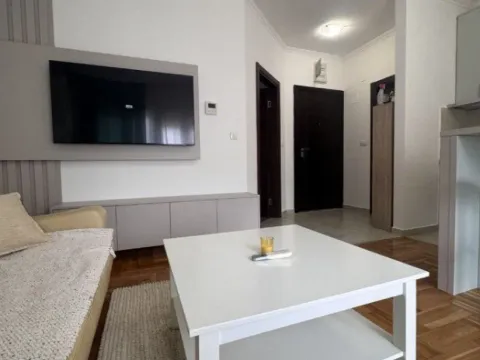 Izdavanje, jednosoban stan, 40m², Golubovina, Budva - image 2
