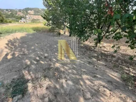 Prodaja, plac, 600m², Petrovaradin, Novi Sad - image 1