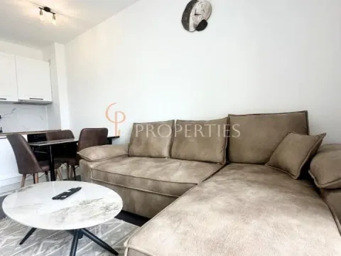 Rent, apartment, 40m², Zabjelo, Podgorica - image 11