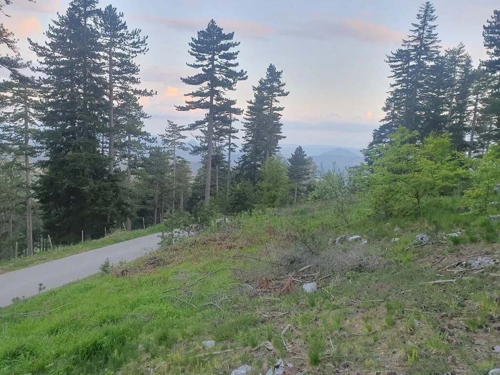 Prodaja, plac, 1130m², Centar, Zlatibor