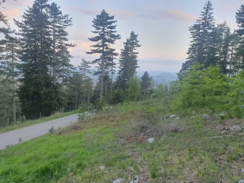 Prodaja, plac, 1130m², Centar, Zlatibor - image 3