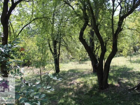 Sale, house, 118m², Mala Moštanica, Obrenovac - image 14