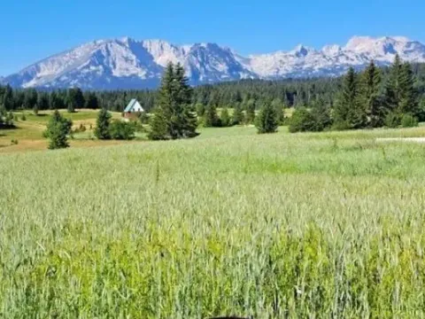 Prodaja, plac, 1550m², Podgora, Žabljak - image 2