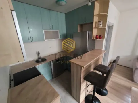 Izdavanje, garsonjera, 28m², Central Point, Podgorica - image 2