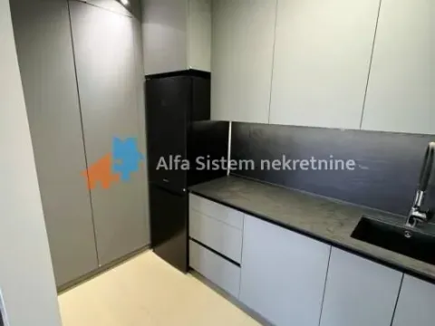 Izdavanje, dvosoban stan, 53m², Savski Venac, Beograd - image 4