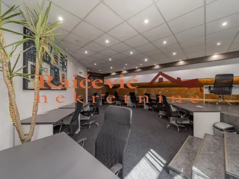 Prodaja, poslovni prostor, 315m², Banovo Brdo, Beograd - image 6