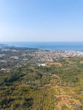 Pogled iz vazduha na prirodu, naselje i obalu mora. - image 9