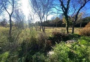 Sale, land lot, 1423m², Buljarica, Budva