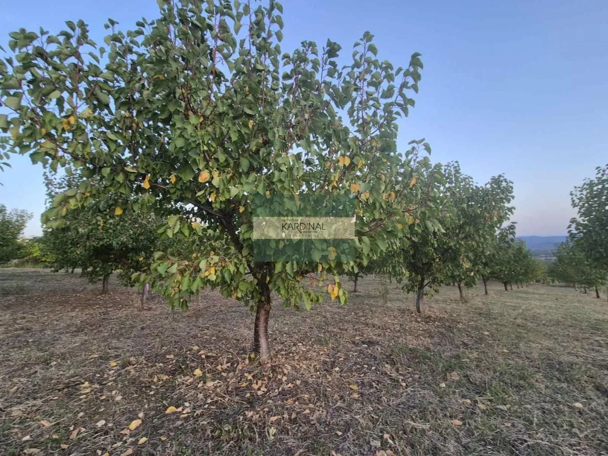 Prodaja, plac, 27920m², Siokovac, Jagodina