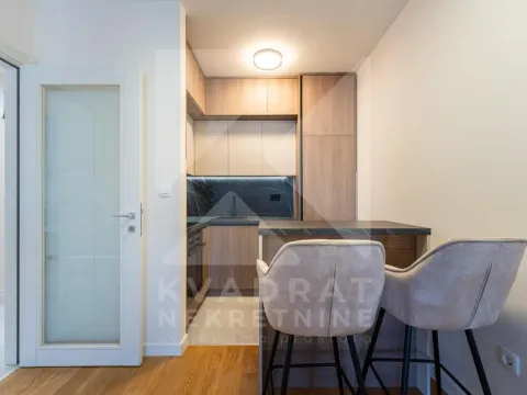 Izdavanje, jednosoban stan, 47m², Central Point, Podgorica - image 4