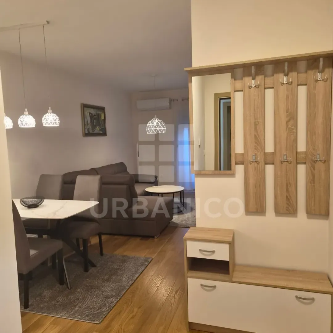 Rent, one bedroom apartment, 44m², Central Point, Podgorica