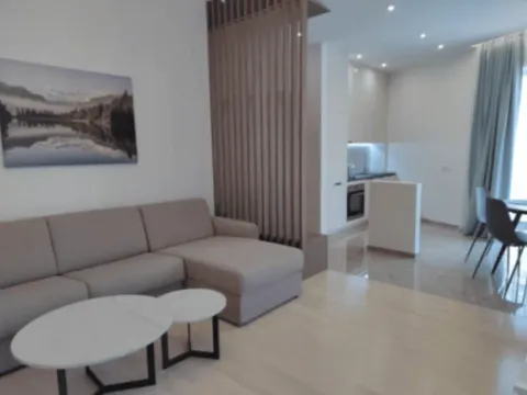 Stan-na-dan, stan, 47m², Bečići, Budva - image 8