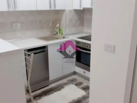 Rent, two bedroom apartment, 50m², Hala Pionir, Palilula Sve Podlokacije - image 4