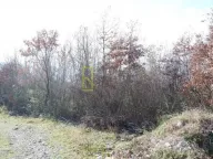 Prodaja, plac, 200m², Pričelje, Podgorica - image 5