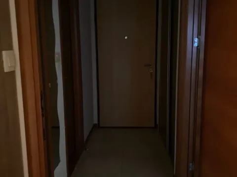 Izdavanje, jednosoban stan, 45m², Stari Aerodrom, Podgorica - image 9