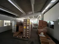 Izdavanje, poslovni prostor, 1731m², Bački Petrovac, Novi Sad - image 19