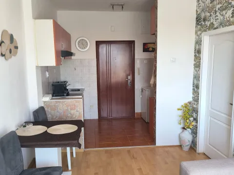 Izdavanje, jednosoban stan, 31m², Centar, Novi Sad - image 10