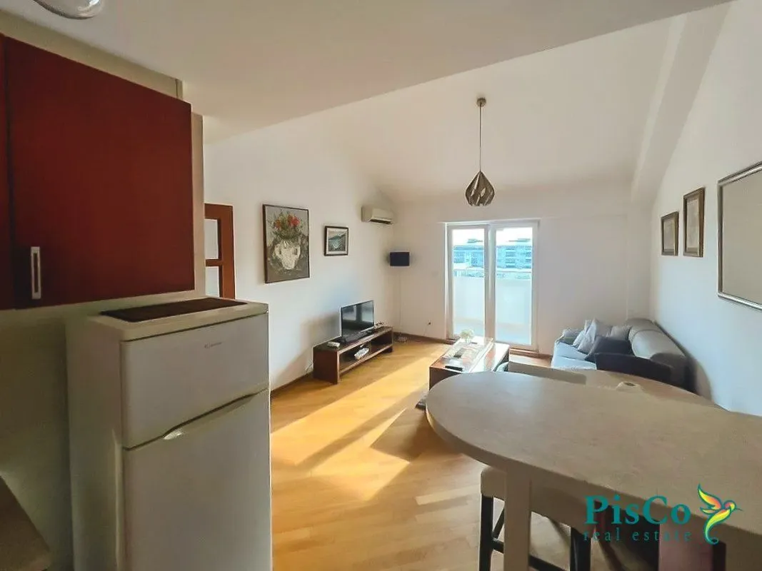 Rent, one bedroom apartment, 48m², Preko Morače, Podgorica