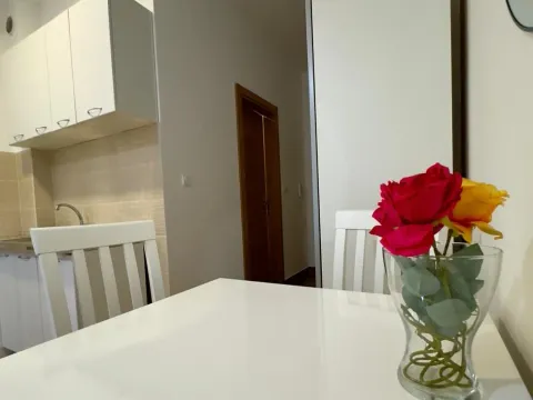 Izdavanje, stan, 28m², Kava, Tivat - image 7